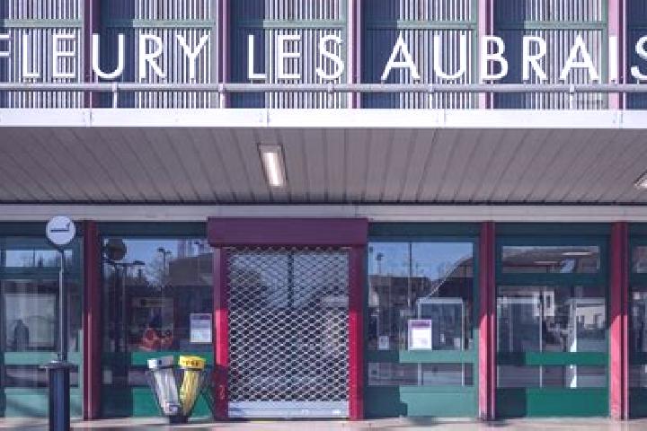 escort Fleury-les-Aubrais