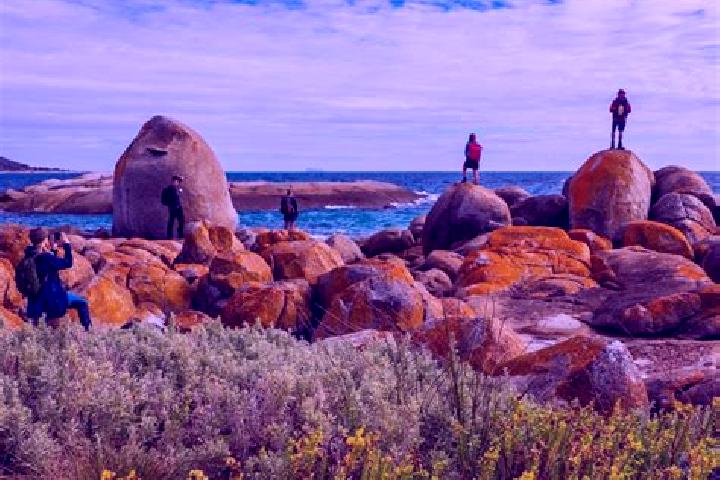 escort Flinders View