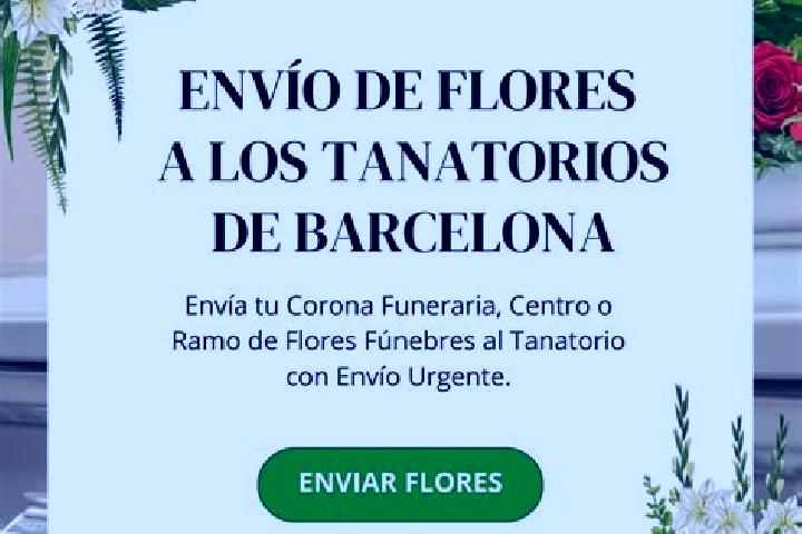 escort Flores de Avila