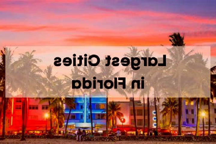 escort Florida City
