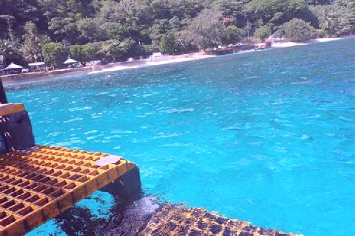 escort Flying Fish Cove