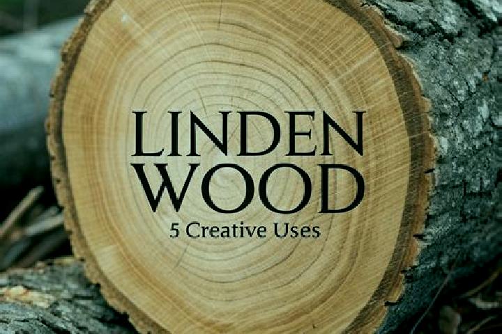escort Fohren-Linden