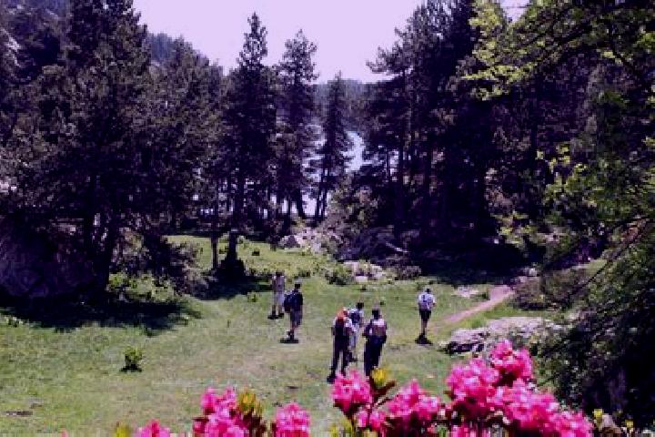 escort Font-Romeu-Odeillo-Via
