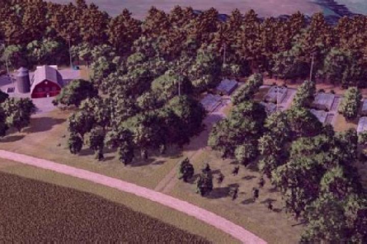 escort Forest Acres