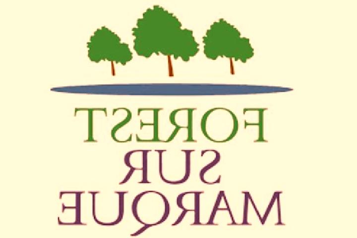 escort Forest-sur-Marque