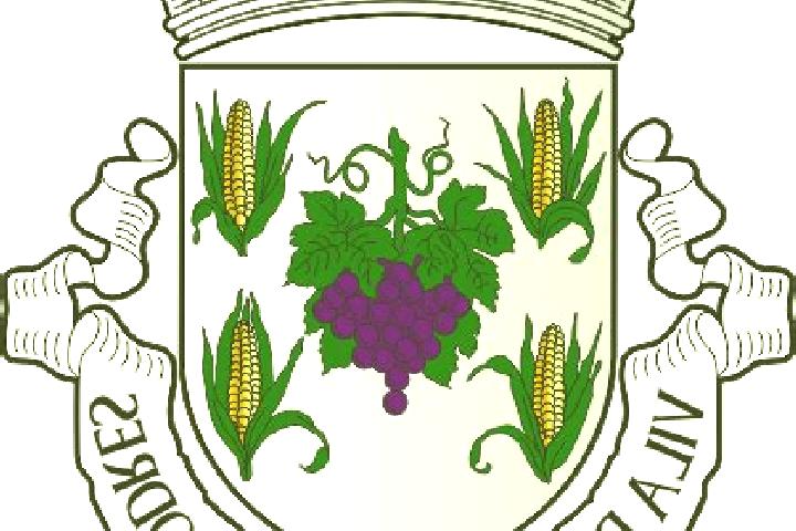 escort Fornos de Algodres