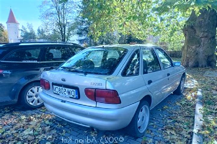 escort Forstern
