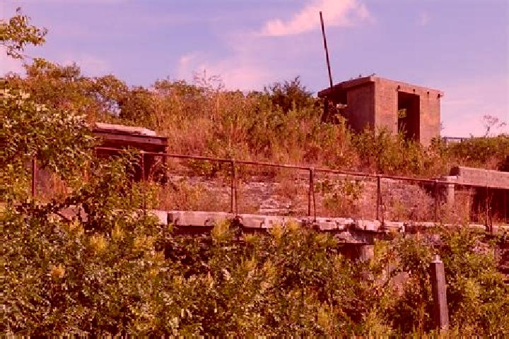 escort Fort Hancock