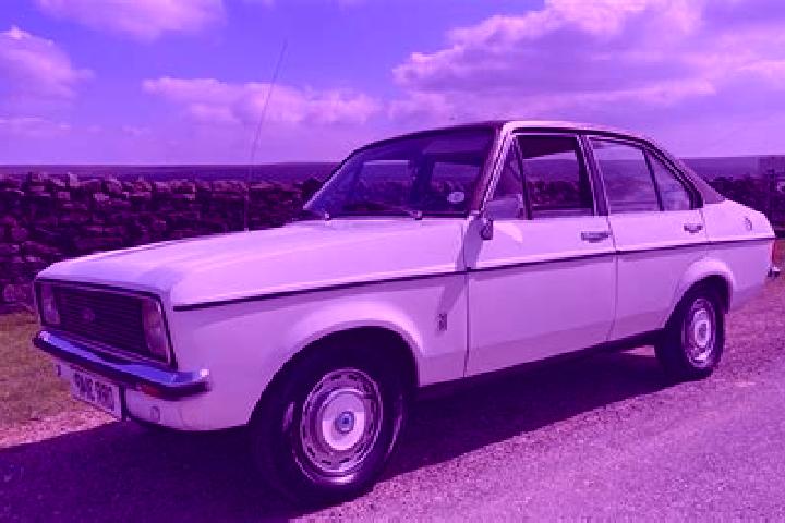 escort Fortune Estate