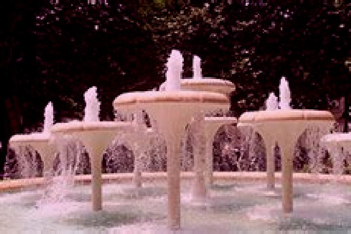 escort Fountain City