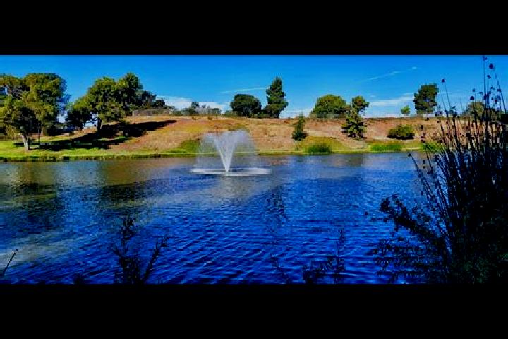 escort Fountain Lake