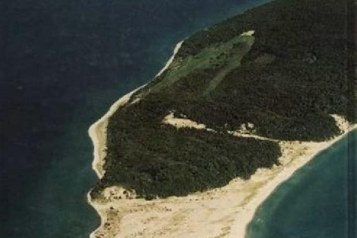 escort Fox Island