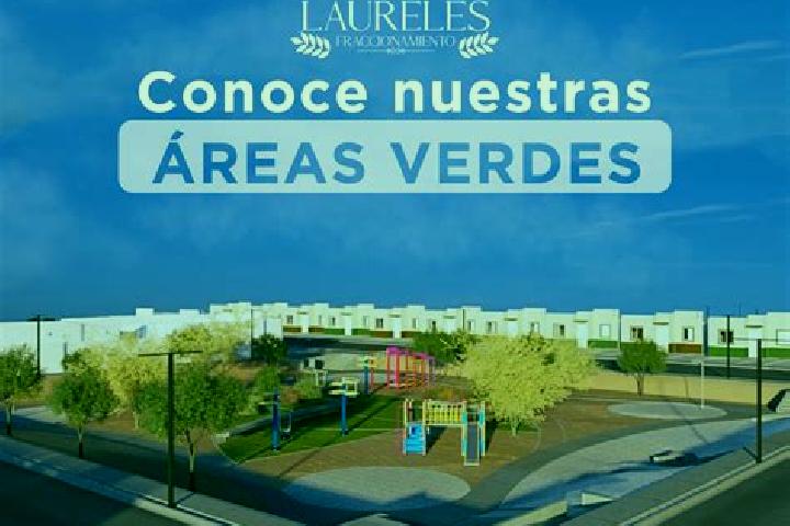 escort Fraccionamiento Laureles Erendira