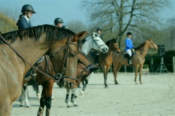 escort Frahier-et-Chatebier
