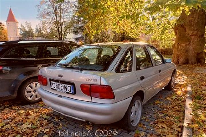 escort Frammersbach