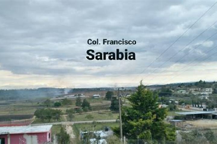 escort Francisco Sarabia (La Reforma)