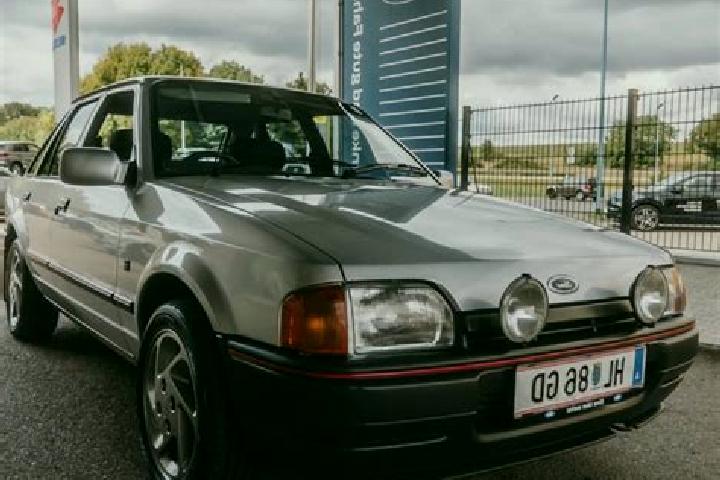 escort Frankfurt (Oder)
