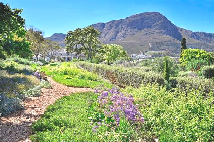 escort Franschhoek