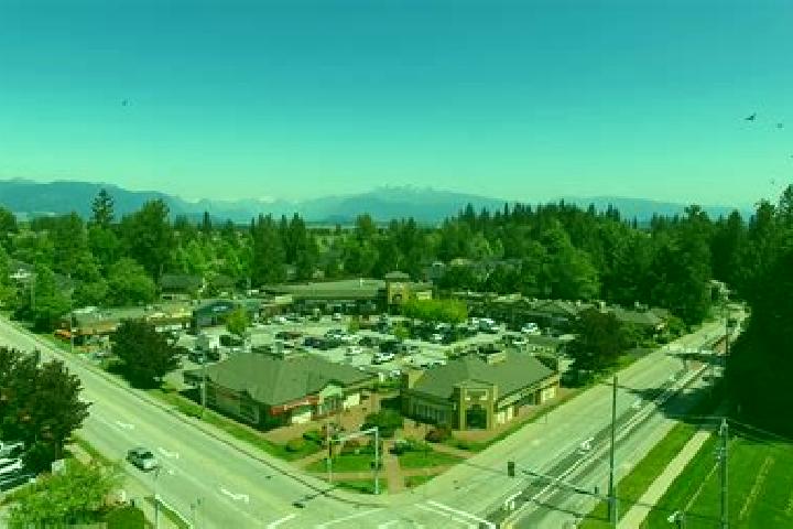 escort Fraser Heights