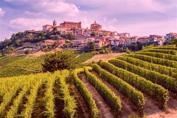 escort Frassinello Monferrato