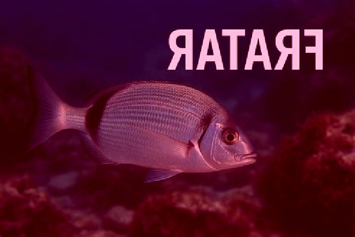 escort Fratar