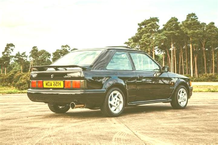 escort Freelandville