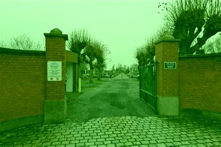 escort Frelinghien