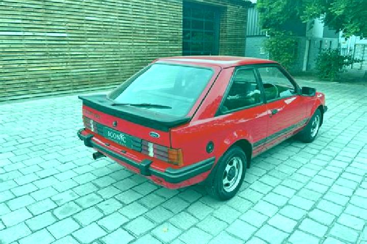 escort Freren