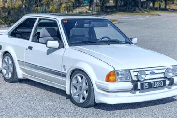 escort Fresenburg