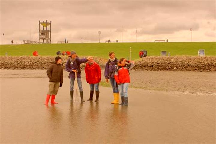 escort Friedrichskoog