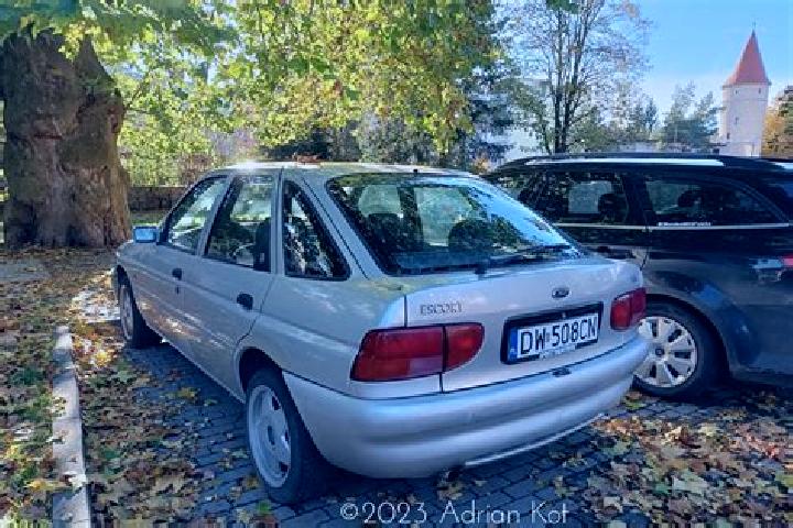 escort Fronhausen