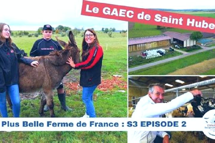 escort Frotey-les-Lure