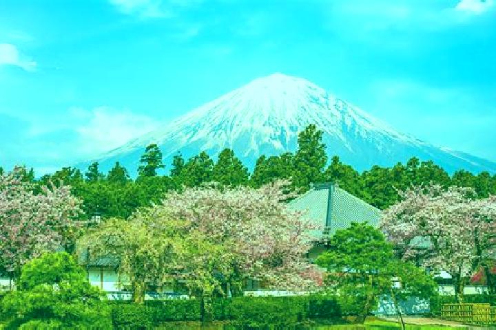 escort Fujinomiya