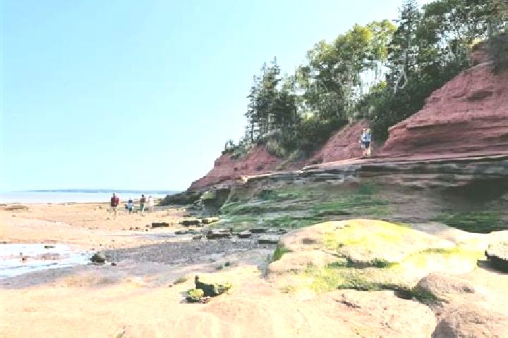 escort Fundy Bay