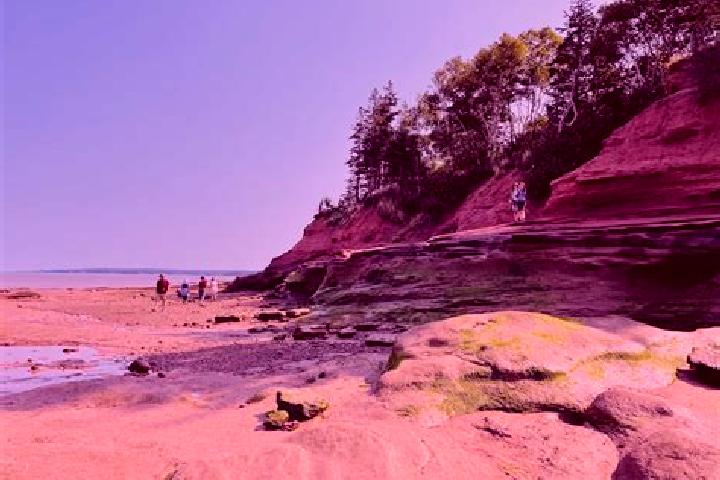 escort Fundy Shores