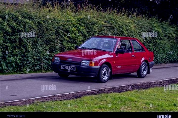 escort Furesti