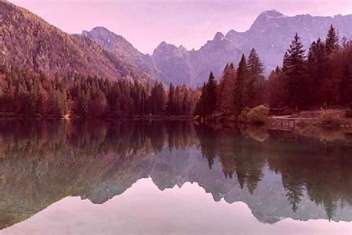 escort Fusine