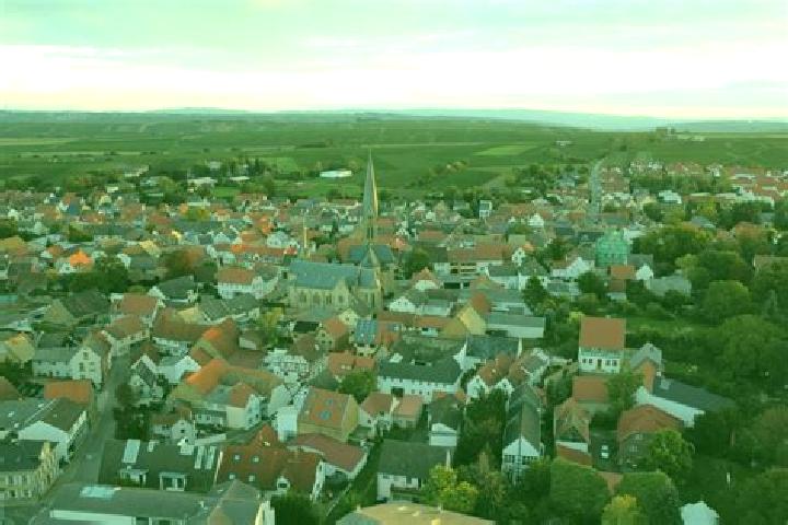 escort Gabsheim