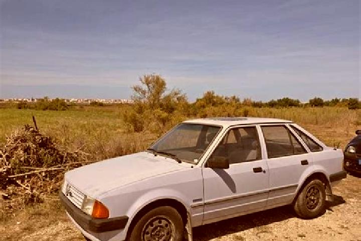 escort Gafanha da Encarnacao