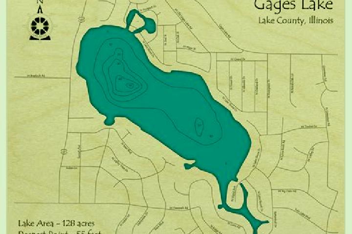 escort Gages Lake