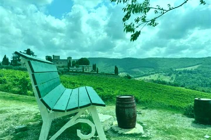 escort Gaiole in Chianti