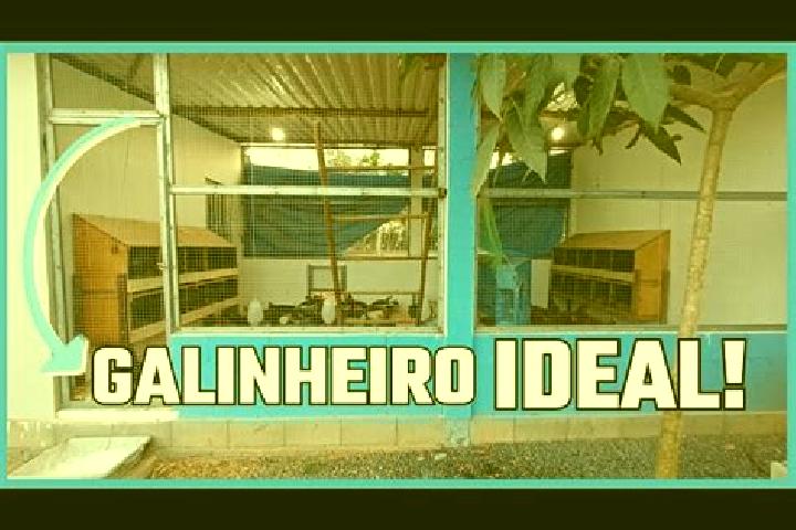 escort Galinheiros
