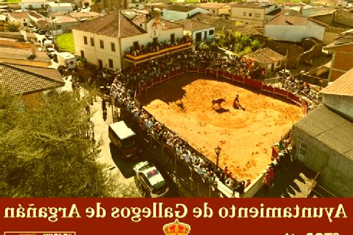 escort Gallegos de Arganan