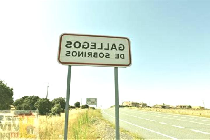 escort Gallegos de Sobrinos