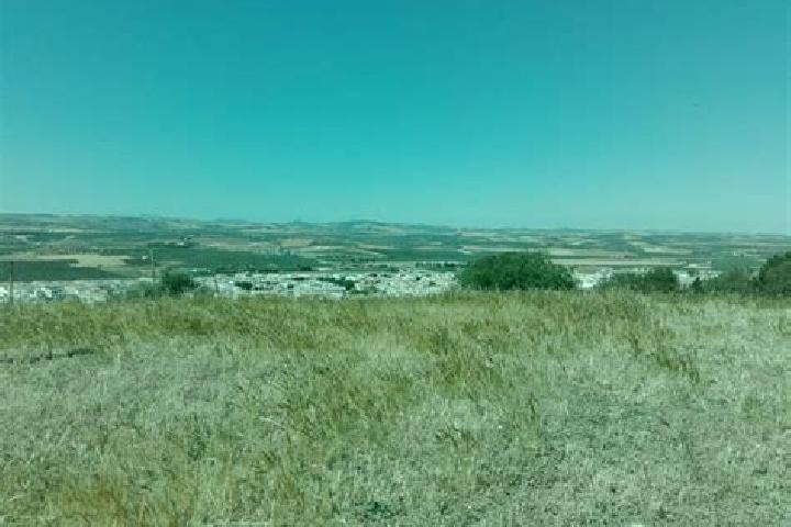 escort Gallegos del Rio
