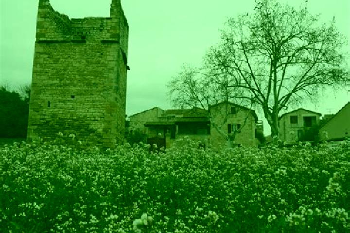 escort Garrigues-Sainte-Eulalie