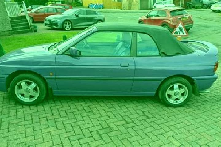 escort Gasinci