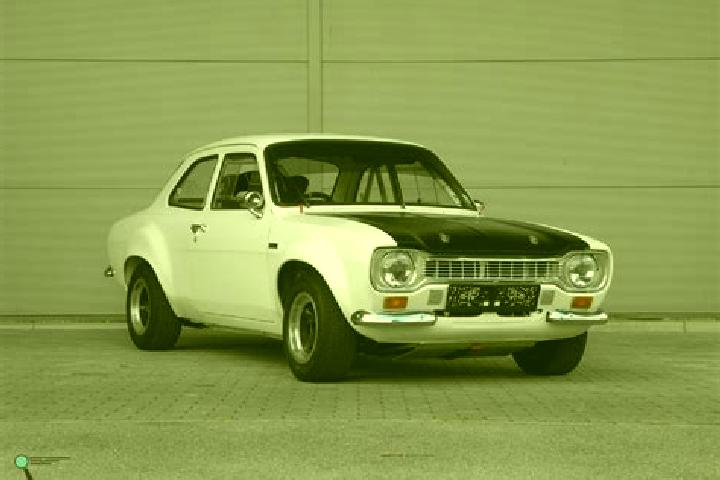 escort Gattico