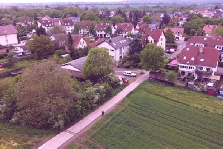 escort Gau-Bischofsheim