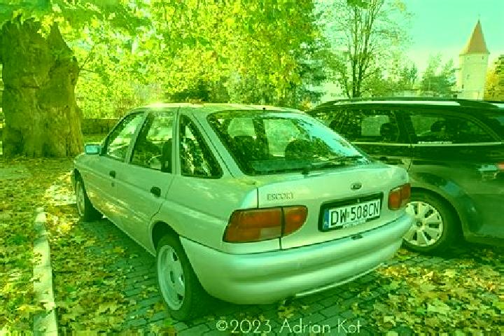escort Gaubitsch
